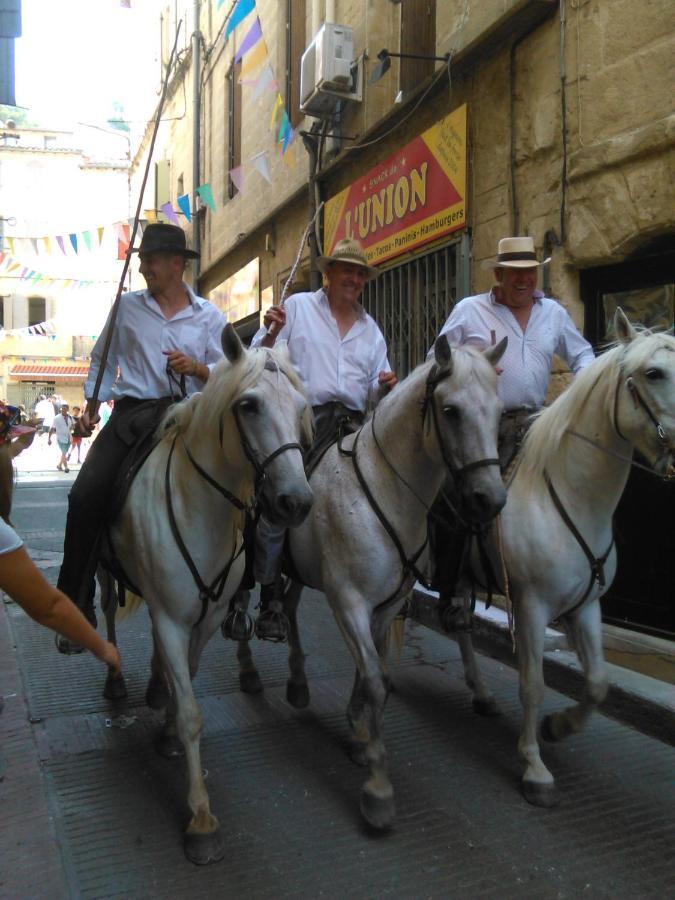 Willa Camargue Beauvoisin  Zewnętrze zdjęcie